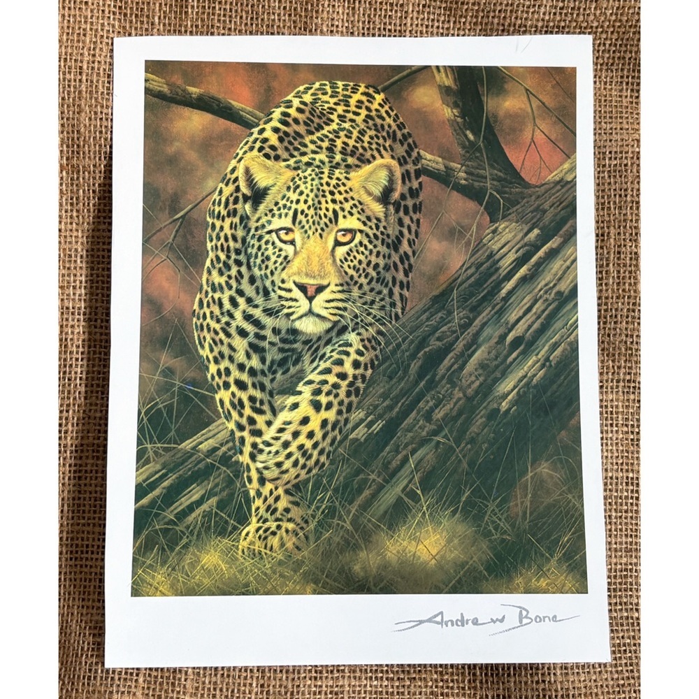 Signed Andrew Bone Silent Stalker Seriolithograph Print Wildlife Artist Leopard